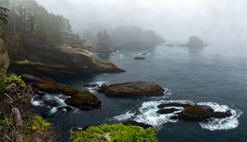 Cape-Flattery-Ocean-View