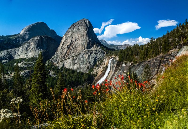 Nevada-Falls-and-Flowers