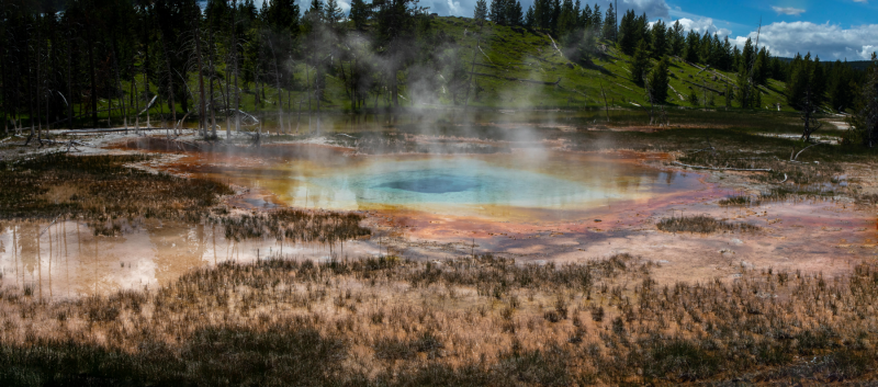 Yellowstone-Field-Pool